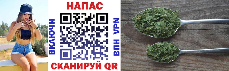 Шишки марихуана Amnesia Семёнов